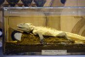 manchester museum 9-2023 8907